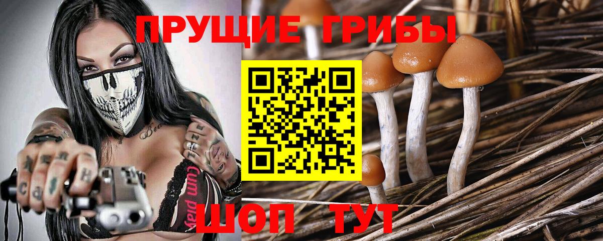 Галлюциногенные грибы Избербаш